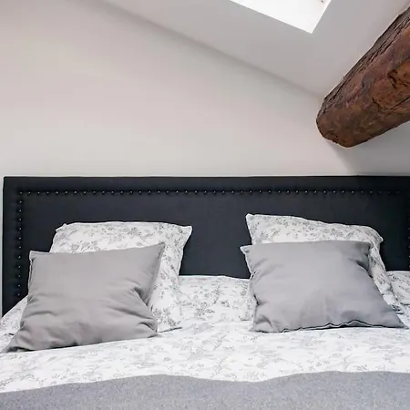 Apartment Baignez Dans La Lumiere D'un Loft Nimois Au Caractere Unique Nimes